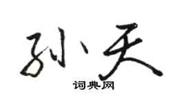 骆恒光孙天行书个性签名怎么写