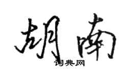 骆恒光胡南行书个性签名怎么写