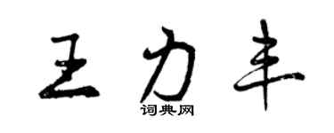 曾庆福王力丰行书个性签名怎么写