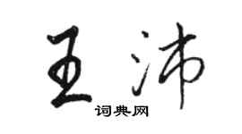 骆恒光王沛行书个性签名怎么写