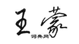 骆恒光王蒙行书个性签名怎么写