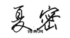 骆恒光夏密行书个性签名怎么写
