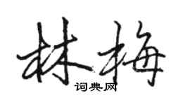 骆恒光林梅行书个性签名怎么写