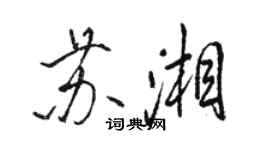 骆恒光苏湘行书个性签名怎么写