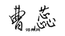 骆恒光曹蕊行书个性签名怎么写