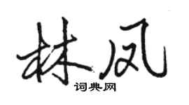 骆恒光林凤行书个性签名怎么写