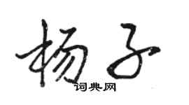 骆恒光杨子行书个性签名怎么写