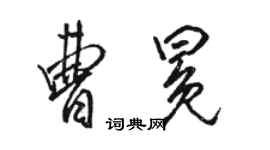 骆恒光曹冕行书个性签名怎么写