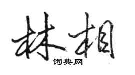骆恒光林相行书个性签名怎么写