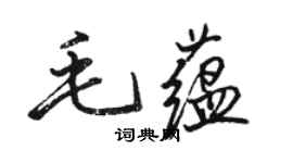 骆恒光毛蕴行书个性签名怎么写