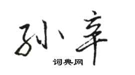 骆恒光孙辛行书个性签名怎么写