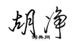 骆恒光胡净行书个性签名怎么写