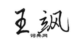 骆恒光王飒行书个性签名怎么写