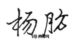 骆恒光杨肪行书个性签名怎么写