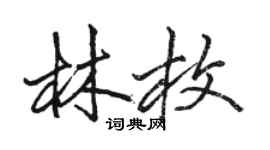 骆恒光林枚行书个性签名怎么写