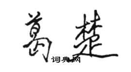 骆恒光葛楚行书个性签名怎么写