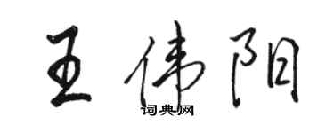 骆恒光王伟阳行书个性签名怎么写