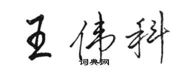 骆恒光王伟科行书个性签名怎么写