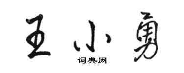 骆恒光王小勇行书个性签名怎么写
