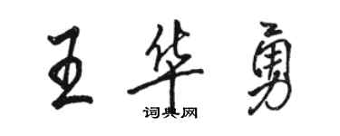 骆恒光王华勇行书个性签名怎么写