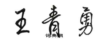 骆恒光王青勇行书个性签名怎么写