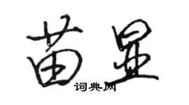 骆恒光苗显行书个性签名怎么写