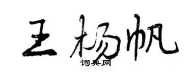 曾庆福王杨帆行书个性签名怎么写
