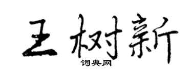 曾庆福王树新行书个性签名怎么写
