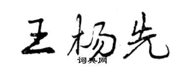 曾庆福王杨先行书个性签名怎么写