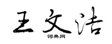 曾庆福王文洁行书个性签名怎么写