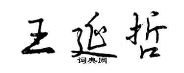 曾庆福王延哲行书个性签名怎么写