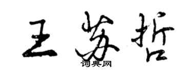 曾庆福王苏哲行书个性签名怎么写