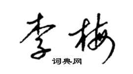 梁锦英李梅草书个性签名怎么写