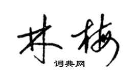 梁锦英林梅草书个性签名怎么写