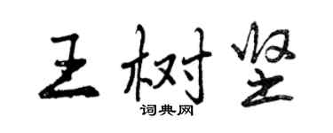 曾庆福王树坚行书个性签名怎么写