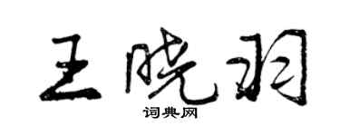 曾庆福王晓羽行书个性签名怎么写