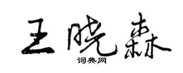 曾庆福王晓森行书个性签名怎么写