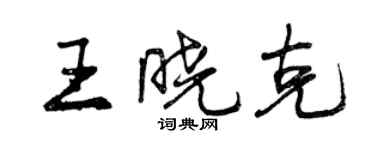 曾庆福王晓克行书个性签名怎么写