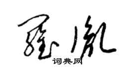 梁锦英罗胤草书个性签名怎么写