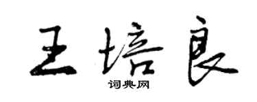 曾庆福王培良行书个性签名怎么写