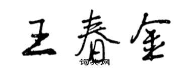 曾庆福王春金行书个性签名怎么写