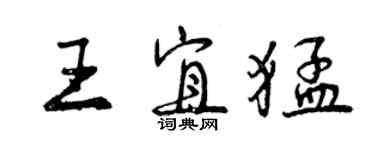 曾庆福王宜猛行书个性签名怎么写