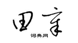 梁锦英田章草书个性签名怎么写