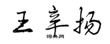曾庆福王辛扬行书个性签名怎么写