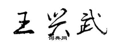 曾庆福王兴武行书个性签名怎么写