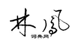梁锦英林凤草书个性签名怎么写
