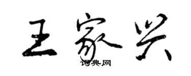 曾庆福王家兴行书个性签名怎么写