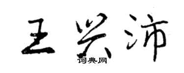 曾庆福王兴沛行书个性签名怎么写