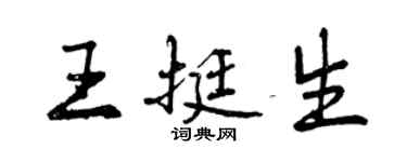 曾庆福王挺生行书个性签名怎么写