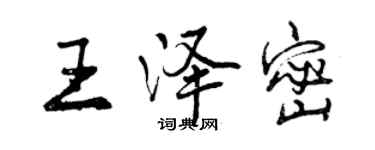 曾庆福王泽密行书个性签名怎么写